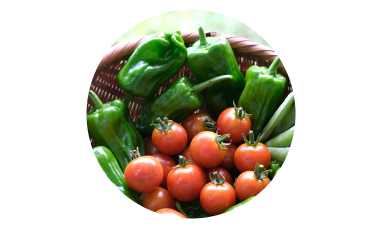 野菜の画像